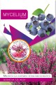 mikoryza rododendrony i wrzosy