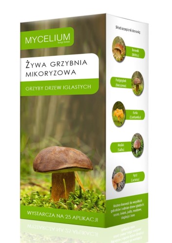 karton mikoryza iglaste-MYC-rzut-03.jpg