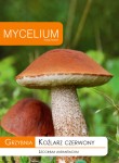 Grzybnia Koźlarz czerwony
