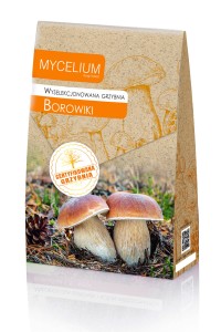 Wyselekcjonowana grzybnia BOROWIKI