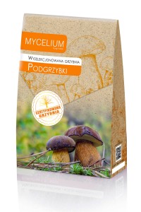 Wyselekcjonowana grzybnia PODGRZYBKI