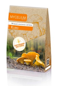 Wyselekcjonowana grzybnia KURKI