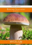 Grzybnia mikoryzowa Borowik szlachetny 60ml
