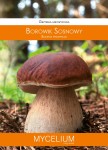 Grzybnia mikoryzowa Borowik sosnowy 60ml