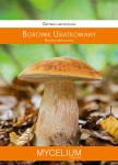 Grzybnia mikoryzowa Borowik usiatkowany 60ml