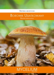 Grzybnia mikoryzowa Borowik usiatkowany 60ml