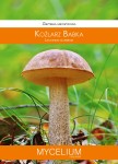 Grzybnia mikoryzowa Koźlarz babka 60ml