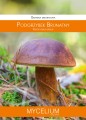grzybnia podgrzybek brunatny