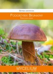 Grzybnia mikoryzowa Podgrzybek brunatny 60ml