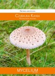 Grzybnia mikoryzowa Czubajka kania 60ml