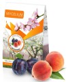 150g karton sliwy_brzoskwinie.jpg