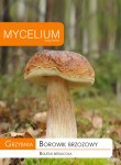 Grzybnia Borowik brzozowy