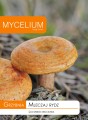 Grzybnia rydza